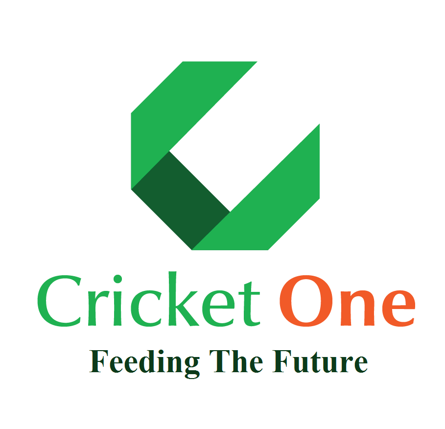 Cricket One (Vietnam)