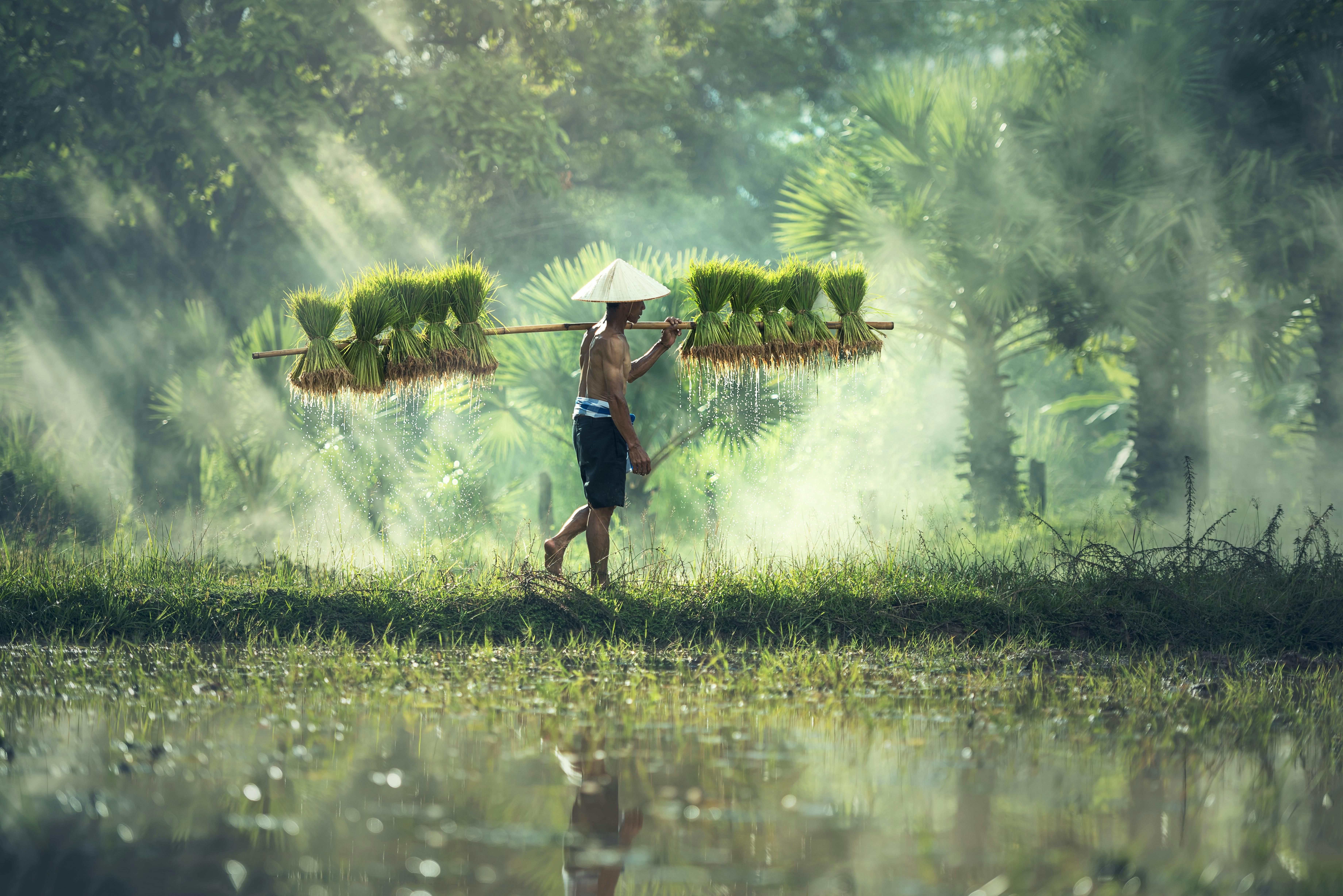 Sustainability