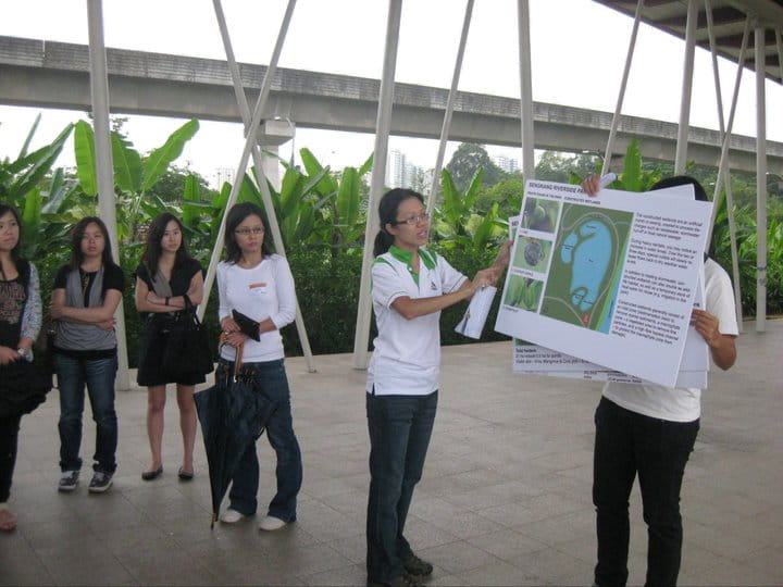 Singapore Insights: Water (16th December)