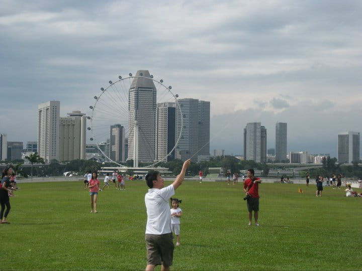 Singapore Insights: Water (16th December)