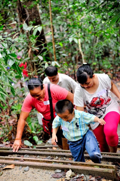 Singapore Insights: BioDiverseCity