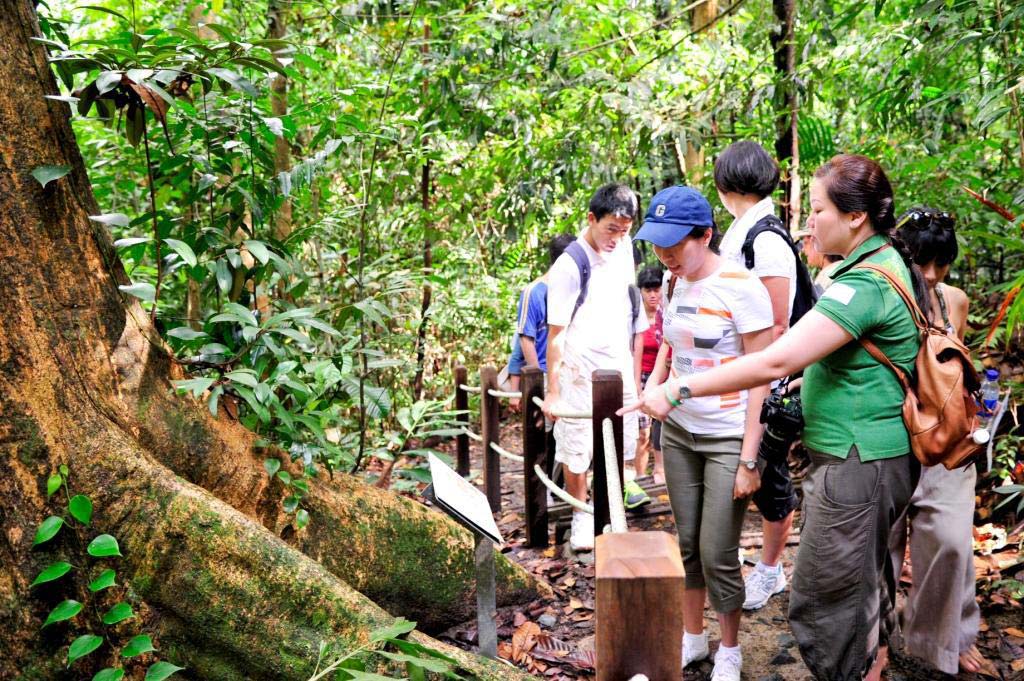 Singapore Insights: BioDiverseCity