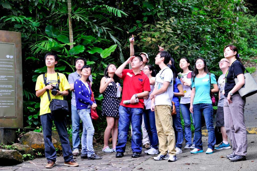 Singapore Insights: BioDiverseCity