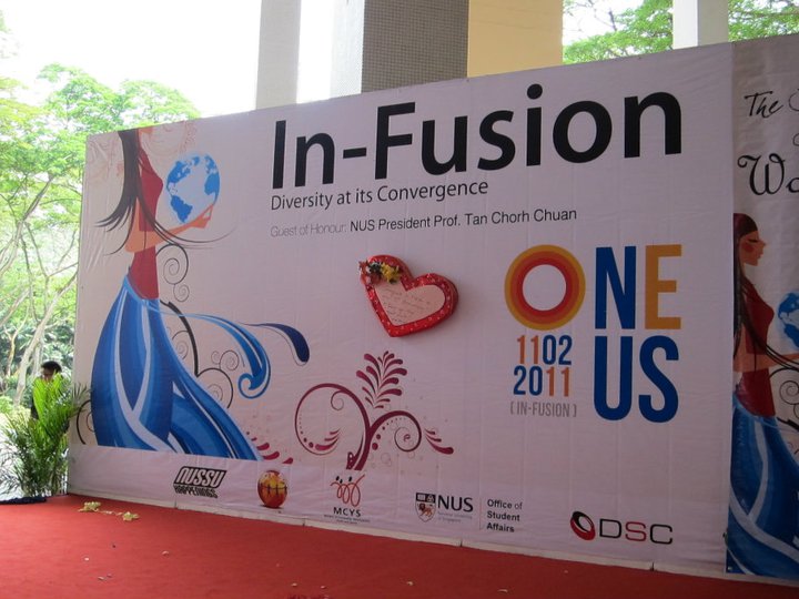 NUS In-Fusion 2011 - Diversity at its Convergence
