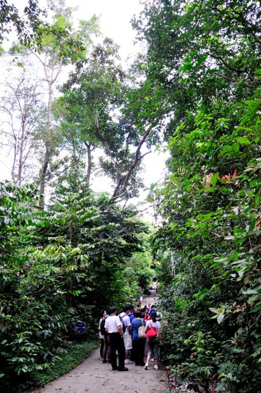 Singapore Insights: BioDiverseCity