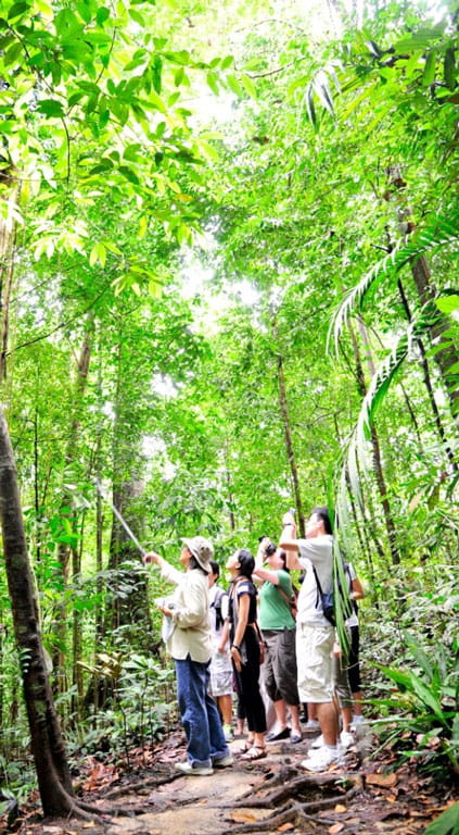 Singapore Insights: BioDiverseCity