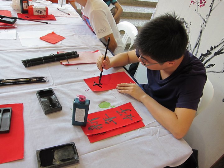 NUS In-Fusion 2011 - Diversity at its Convergence