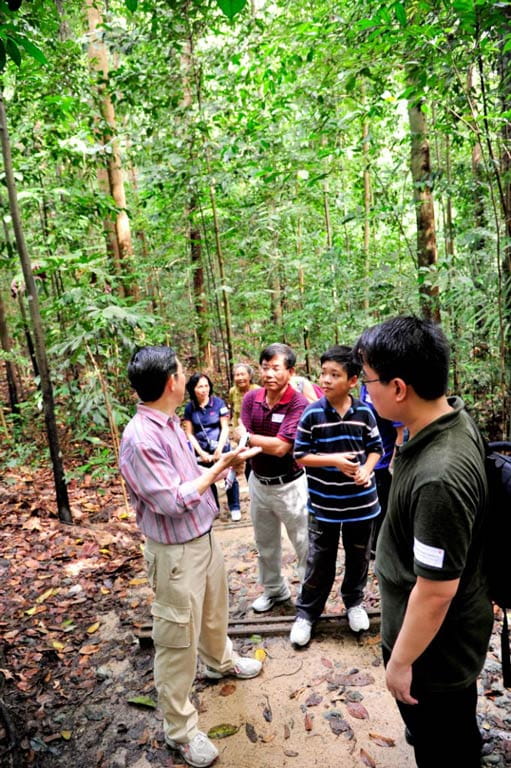 Singapore Insights: BioDiverseCity