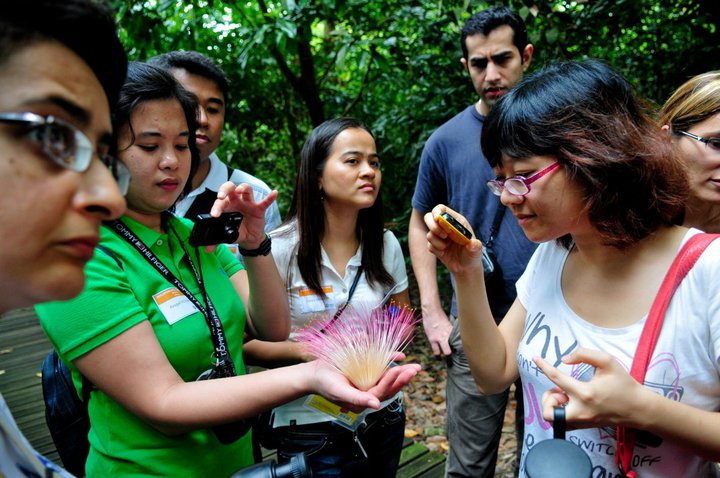 Singapore Discovery Weekends: #2 Biodiversity Conservation
