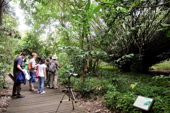 Singapore Discovery Weekends: #2 Biodiversity Conservation