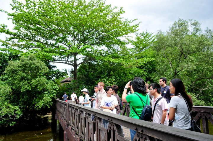 Singapore Discovery Weekends: #2 Biodiversity Conservation