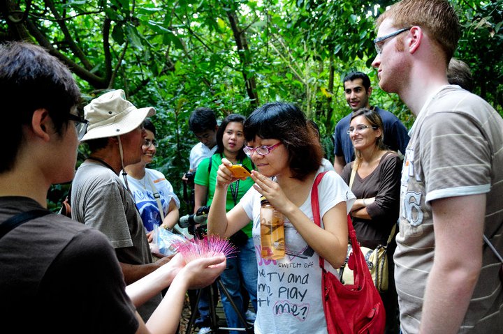 Singapore Discovery Weekends: #2 Biodiversity Conservation