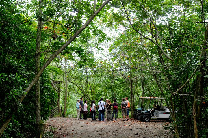 Singapore Discovery Weekends: #2 Biodiversity Conservation