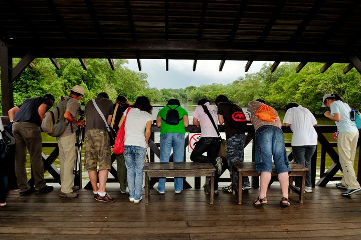 Singapore Discovery Weekends: #2 Biodiversity Conservation