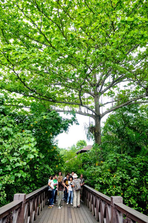 Singapore Discovery Weekends: #2 Biodiversity Conservation