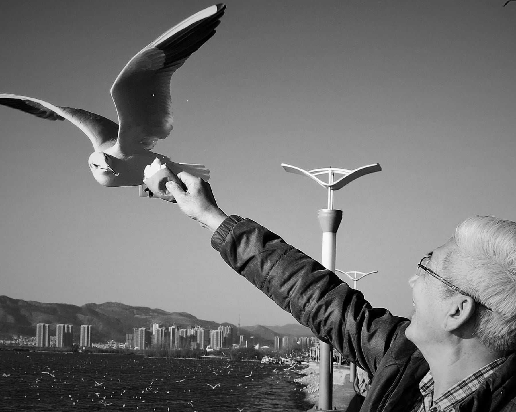 Photo Exhibition: Picture a Better World