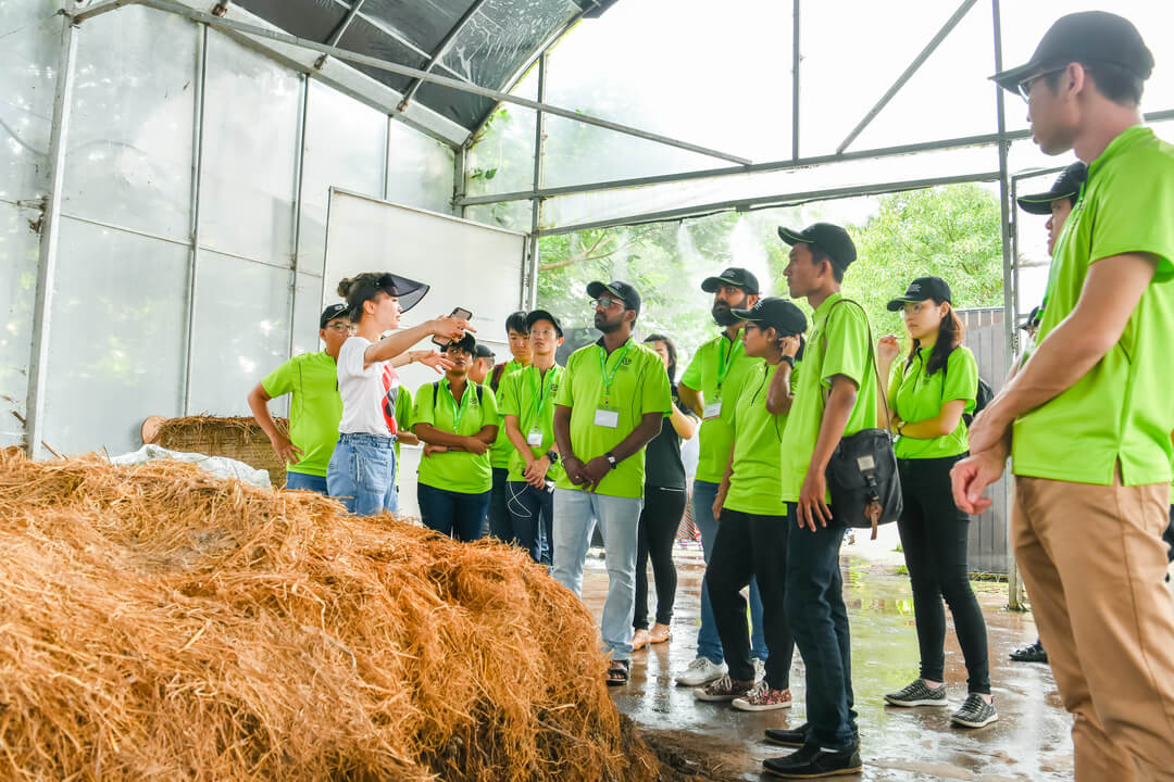 A learning visit to Mahota Farm at Chongming Island