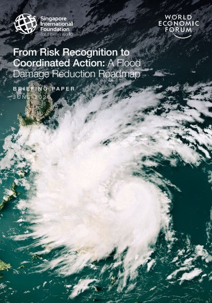 From Risk Recognition to Coordinated Action: A Flood Damage Reduction Roadmap