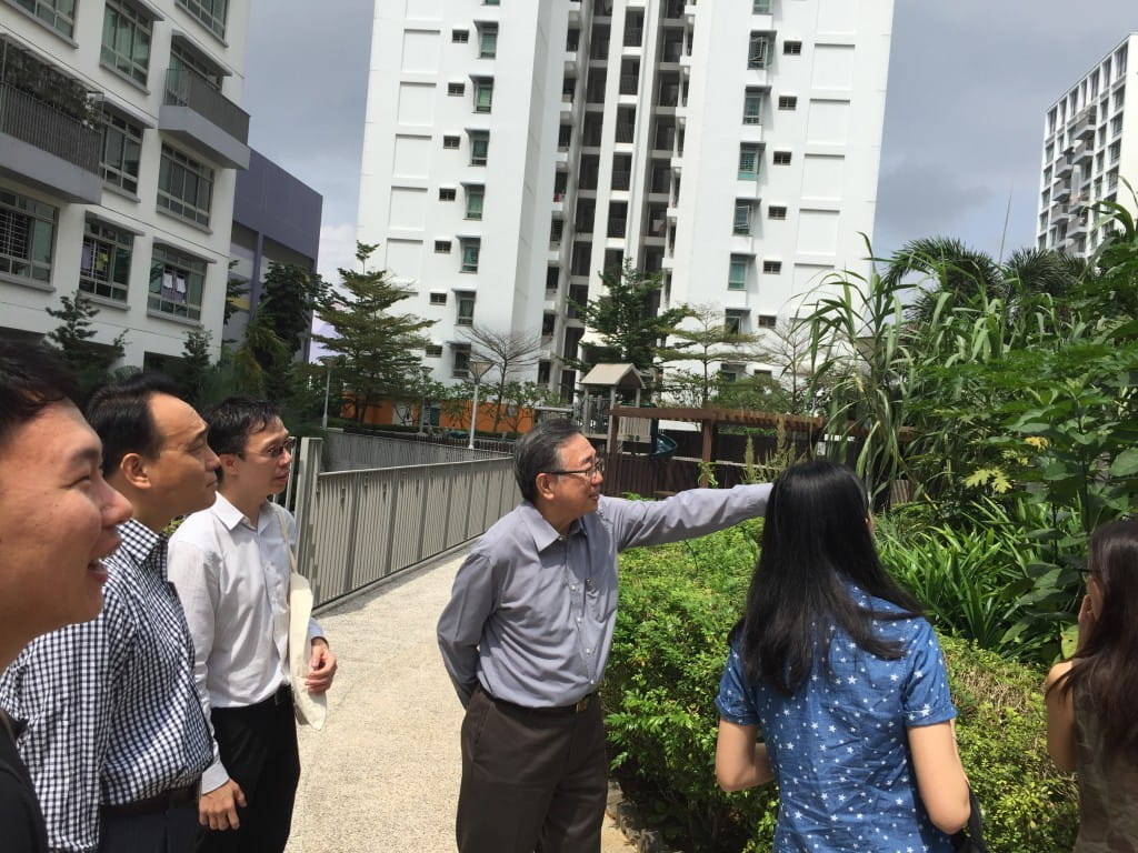 Garden City: Visiting Singapore’s first eco-precinct Treelodge@Punggol, where greening and eco-friendliness are integrated into public housing.
