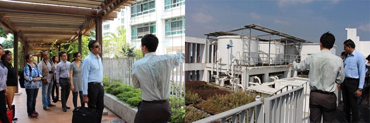 Discovering Singapore’s first eco-precinct Treelodge@Punggol, where greening and eco-friendliness are integrated into public housing.