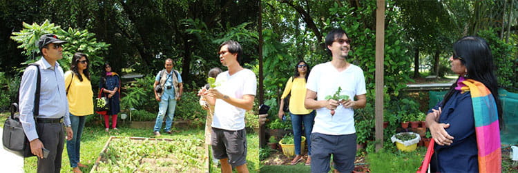 Exploring Open Farm Community with Bjorn Low, founder of this social enterprise set up to spearhead urban farming in Singapore. Bjorn shared passionately about his "Grow Your Own Food" movement in land-scarce and import-dependent Singapore.